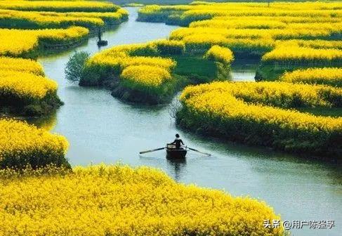 江苏的教育发达吗,江苏教育有多强大