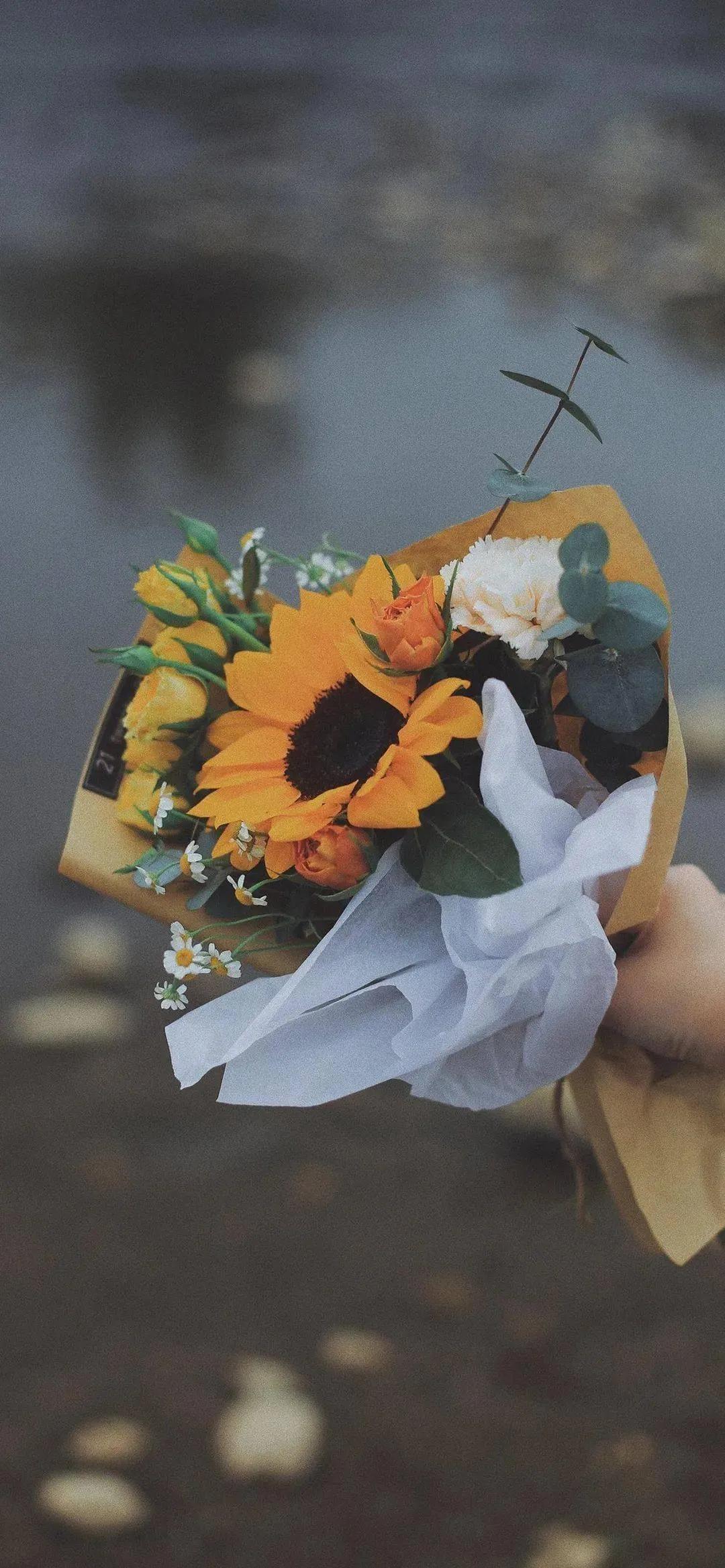 壁纸朋友专用,壁纸朋友高清