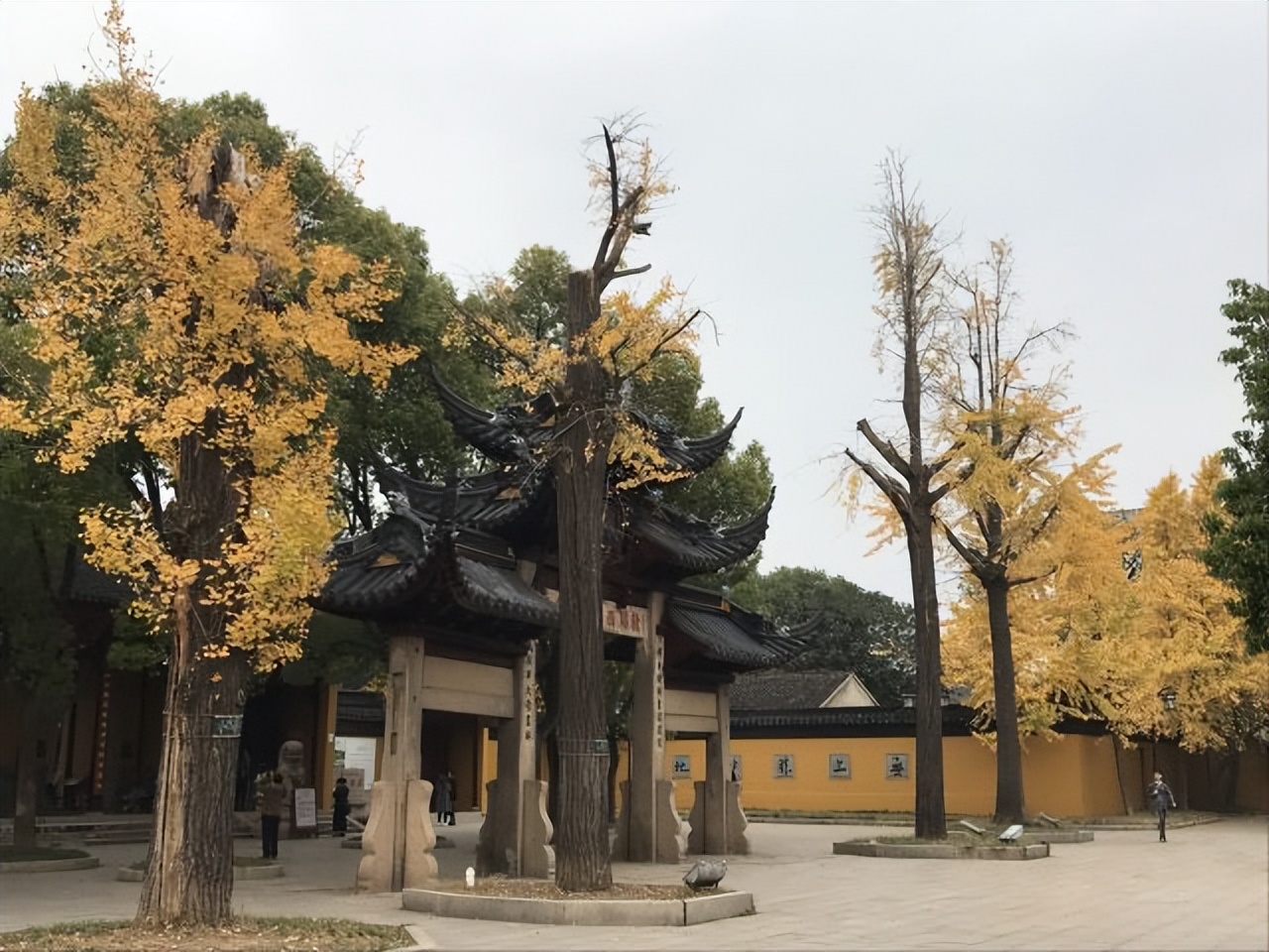 苏州秋季旅游最值得去的地方,苏州赏秋一日游攻略