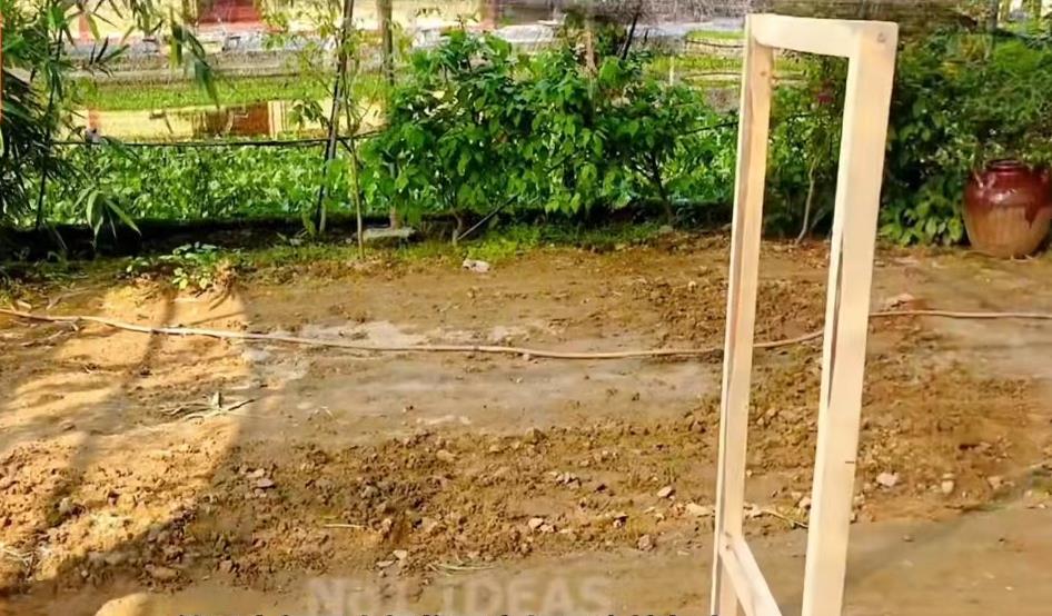 小哥把竹子编织成长方形鸡笼,小哥建造鸡舍