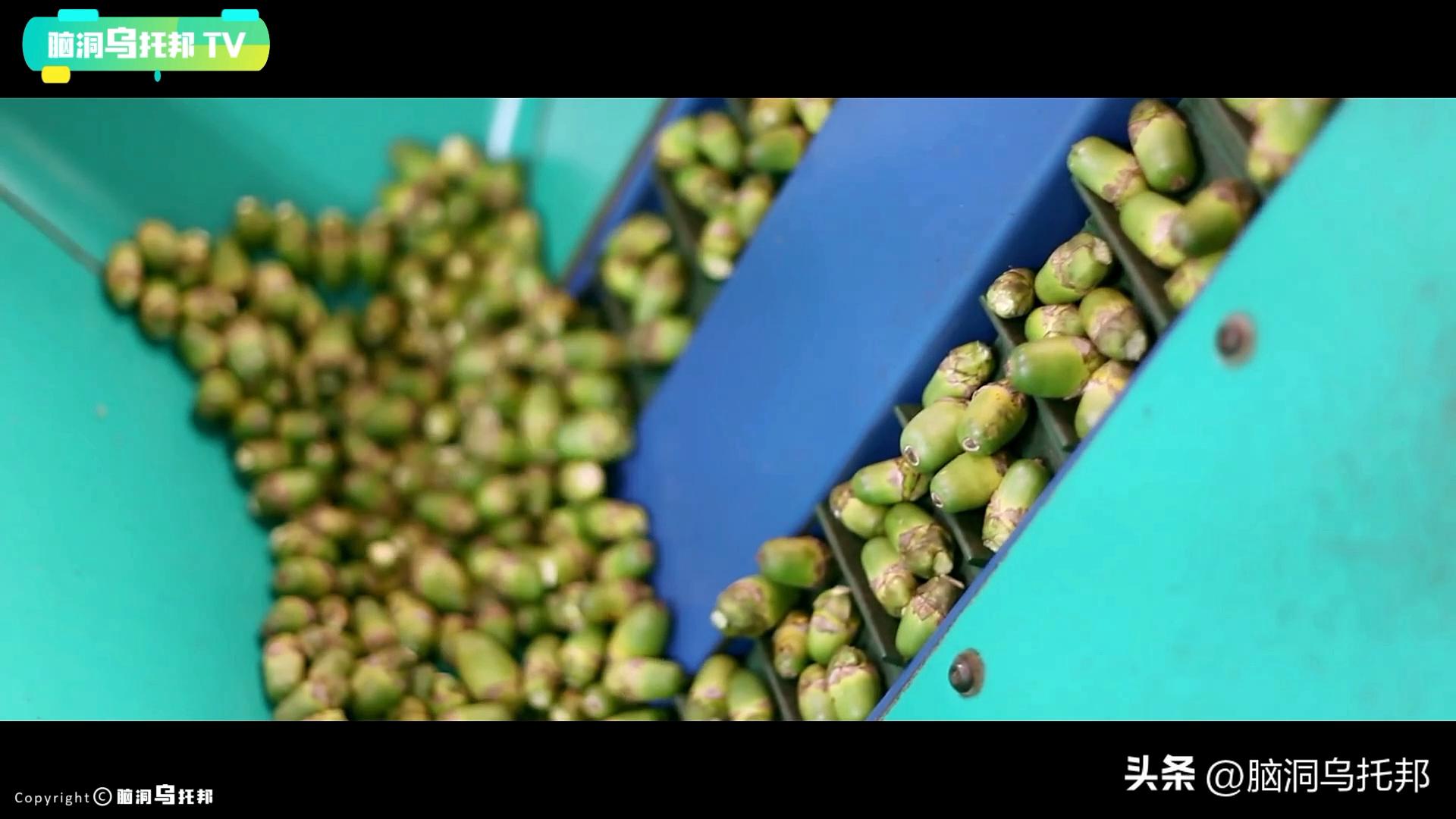 一级致癌物被包装成网红零食,一级致癌物槟榔长期热销