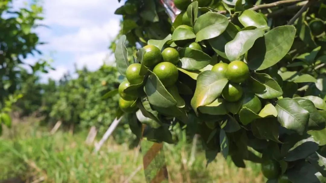 行业不景气怎么办,行业不景气如何创业