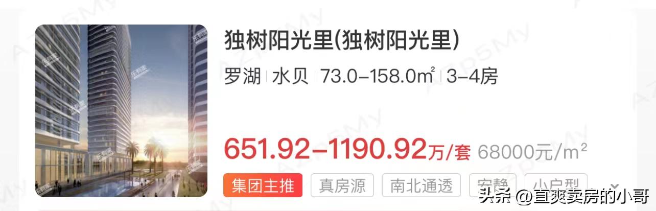 罗湖区小学排名梯队,罗湖区小学排名2019