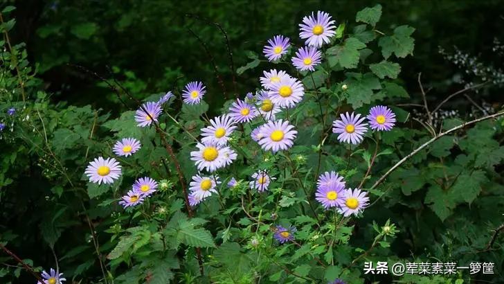 父亲中风无法自理,爸爸中风心里难受