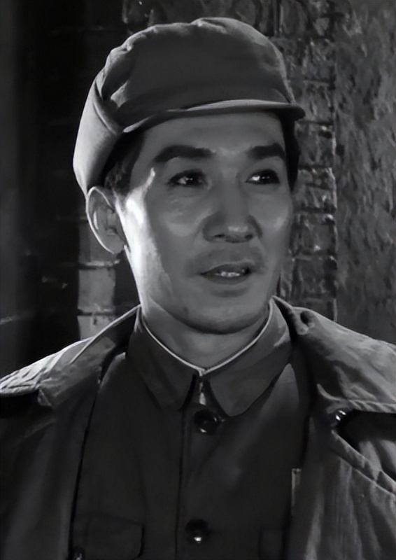 关于革命的小说红日简介,长篇小说红日沈振新的原型是谁