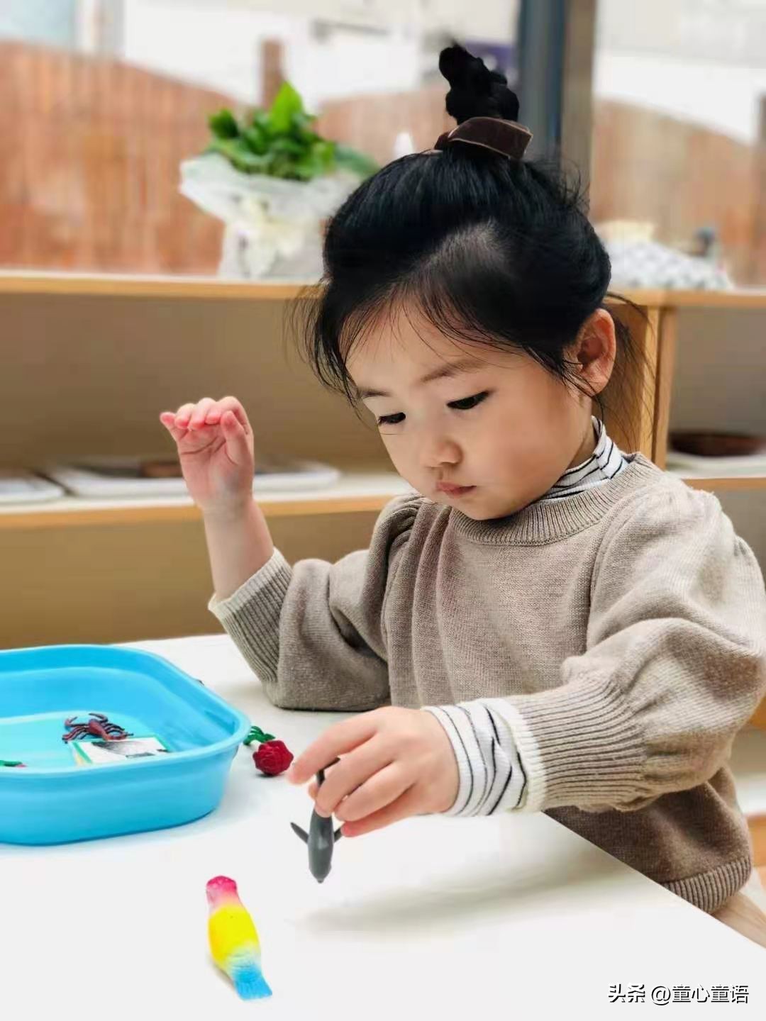 童心童语儿童之家,童心童语有哪些