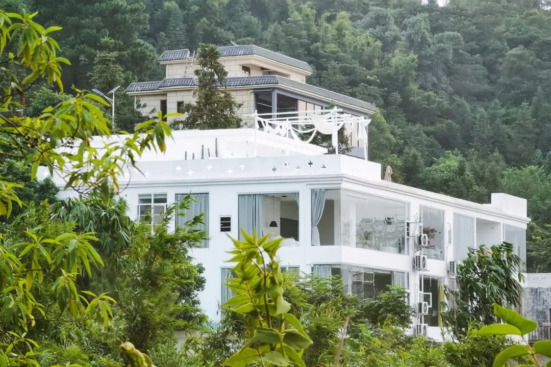 猫咪走太空步原视频最火,猫咪壁虎漫步视频