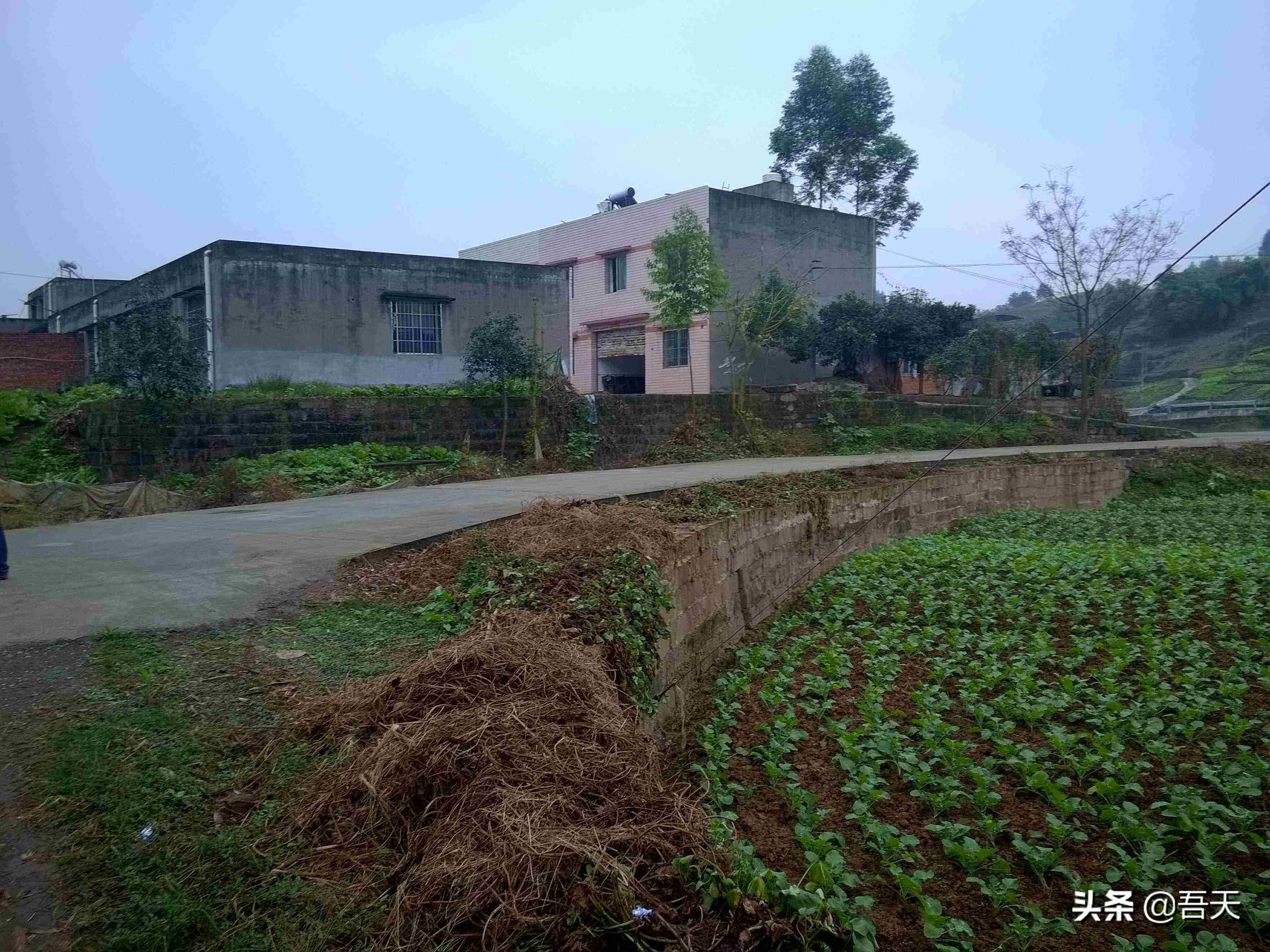 最新中国最富裕的十大名村,各村旅游重点村