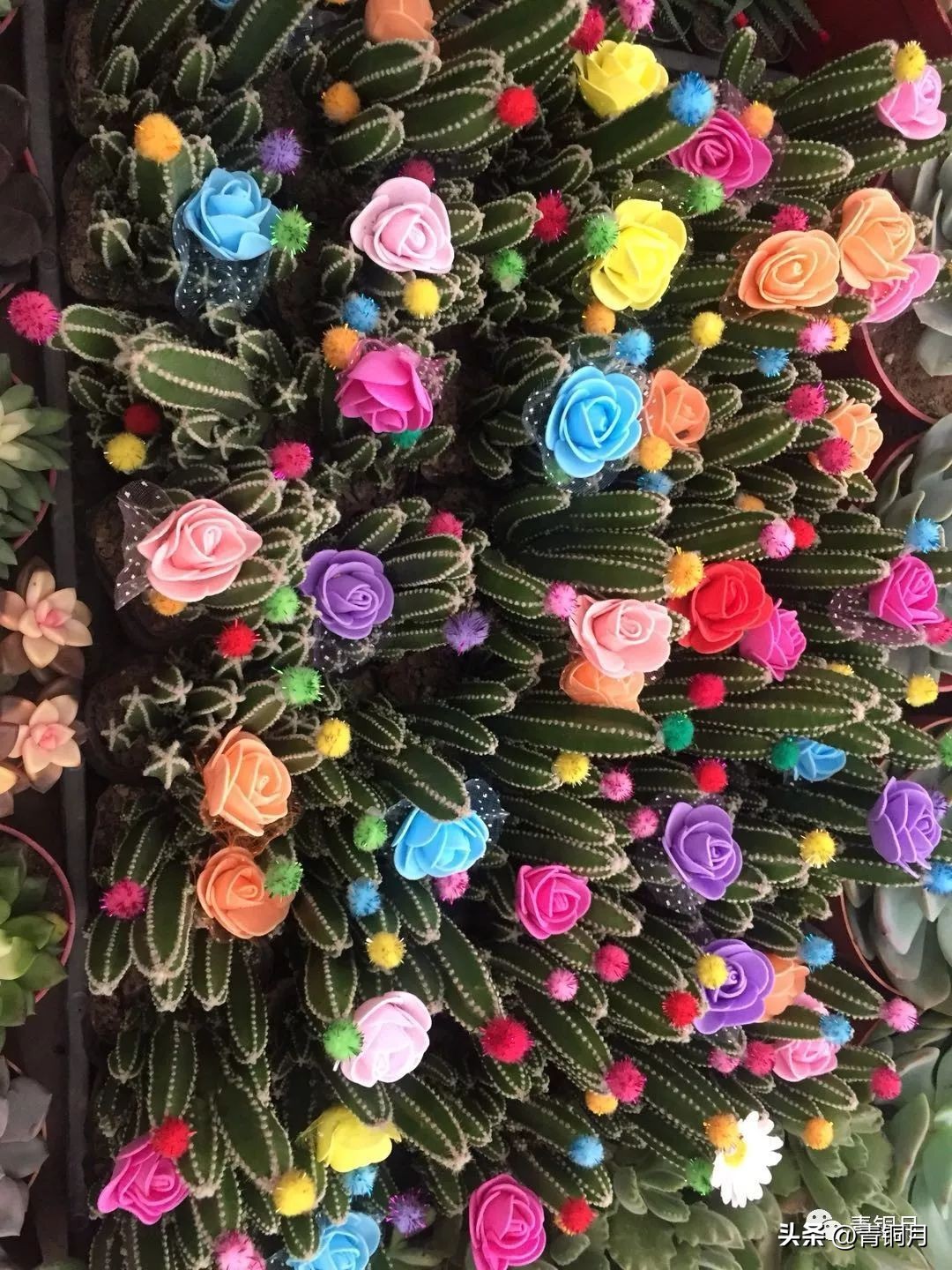 诗词第5季,洛夫《边界望乡》解析