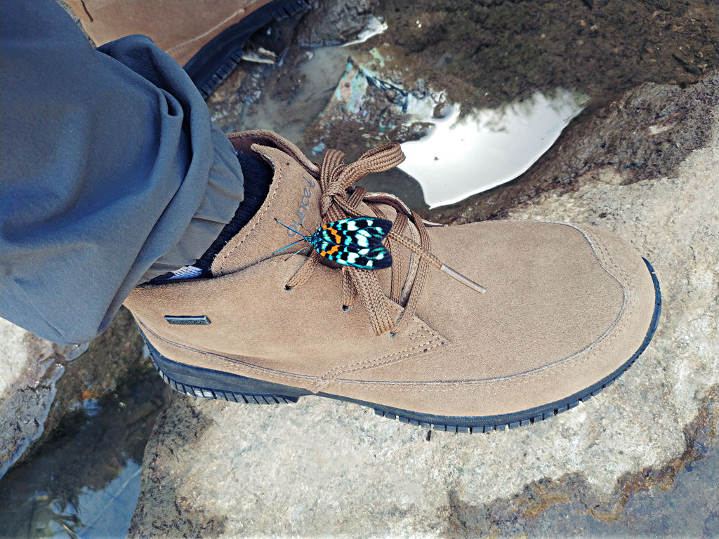 遨游仕l3徒步鞋测评,遨游仕户外鞋m9