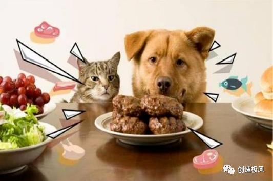 肉价为什么便宜,肉价贵的原因