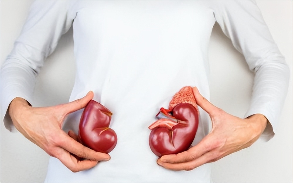 iga肾病肌酐高少吃肉能降下来吗,肌酐偏高禁吃什么食物