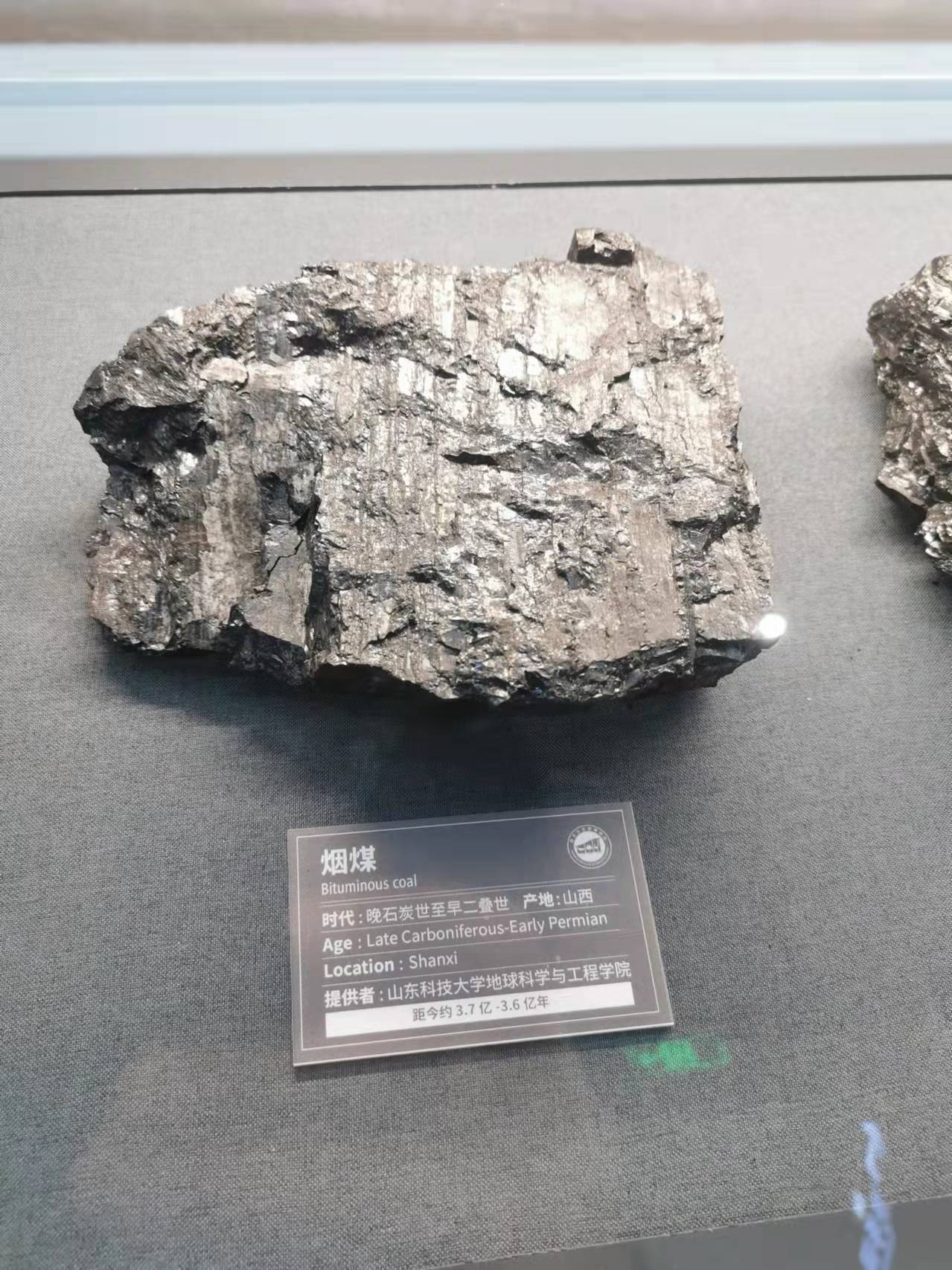 南京古生物博物馆观后感,古生物博物馆南京参观路线