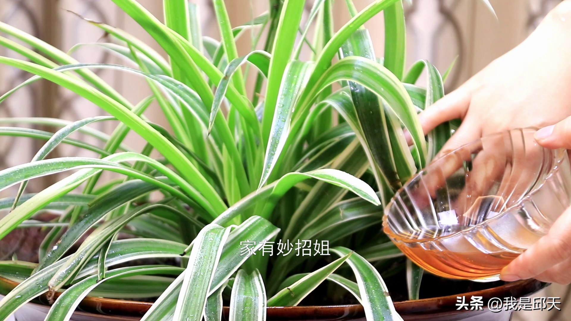 油烟机里的废油怎么处理扔掉,油烟机里的废油一般怎么处理