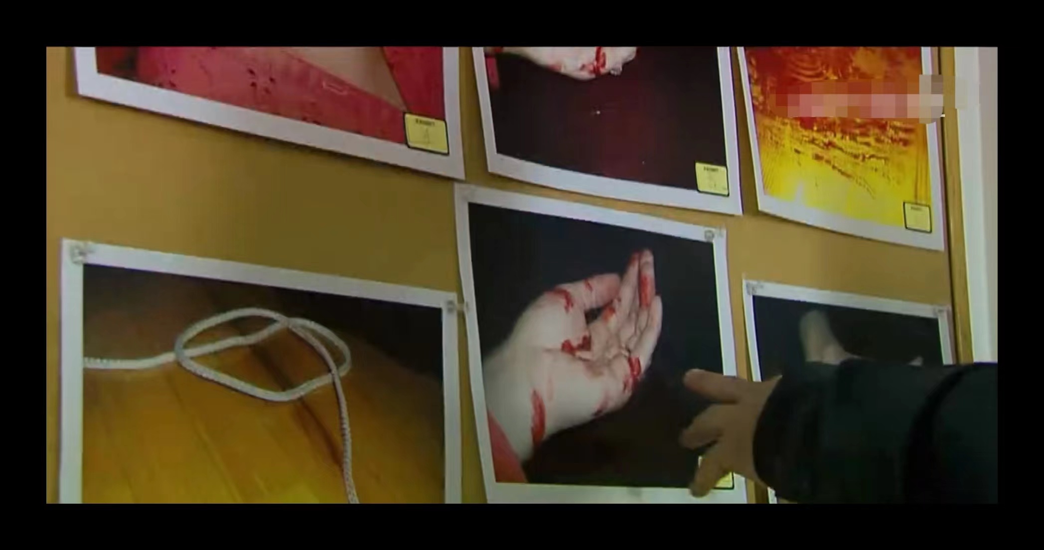 美国1985孕妇被谋杀,美国孕妇被杀案件