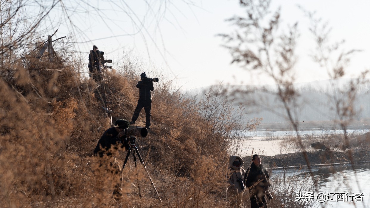 漫步天使乐园(旅拍)