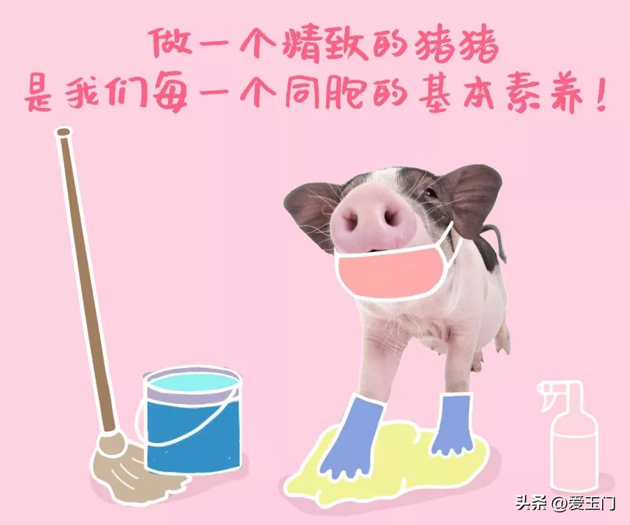 养生要学习,养生要向动物学习