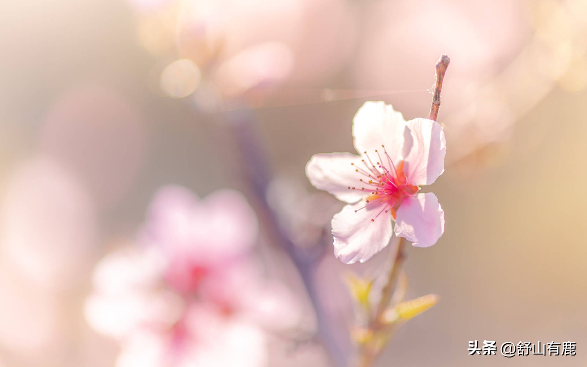 家中有这三种子孙福气会不请自来,家庭出现三点是衰败信号