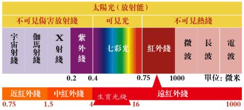 听课记录过程性评价,听课记录感悟