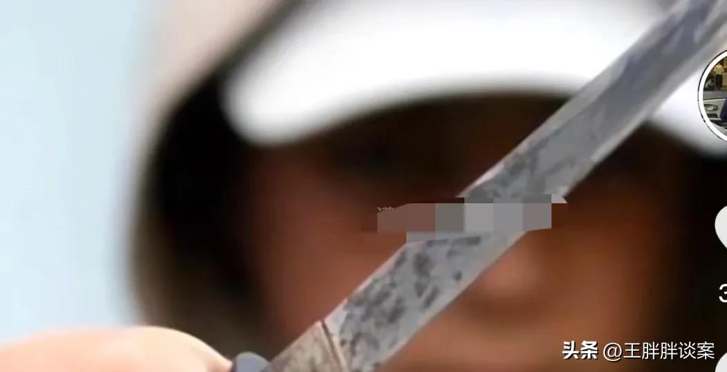 魂断墨尔本,失踪被碎尸丢弃垃圾填埋场的单亲妈妈。