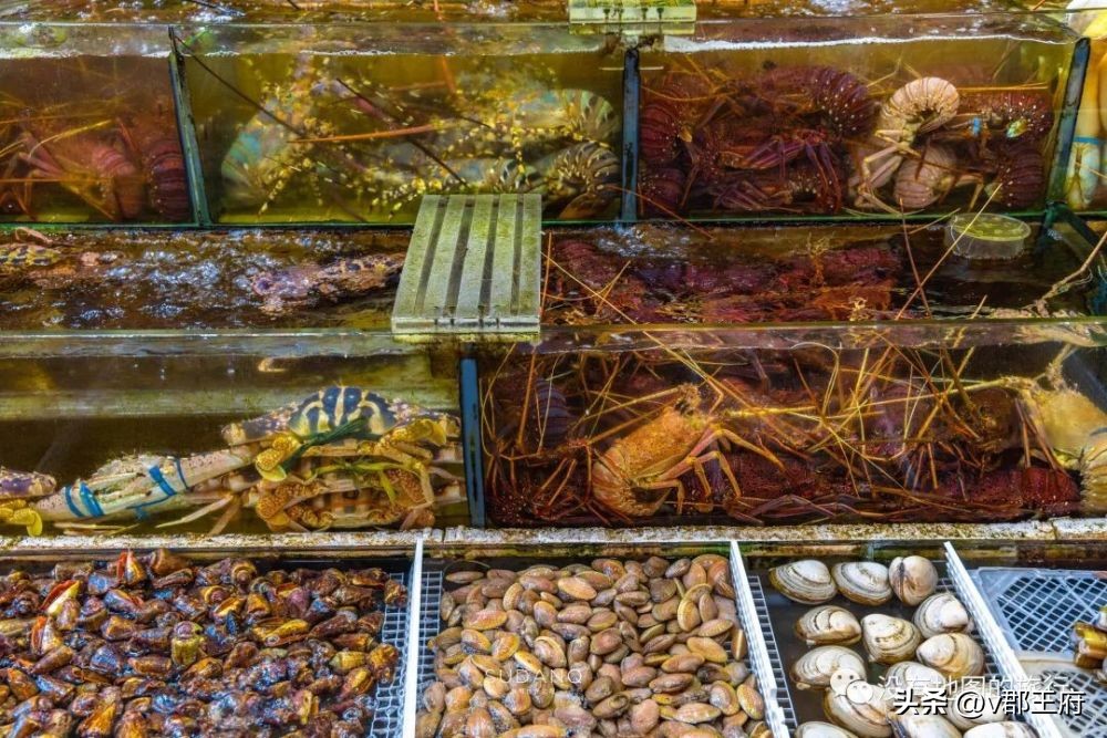 香港自助旅游攻略最新,来香港玩如何不花钱