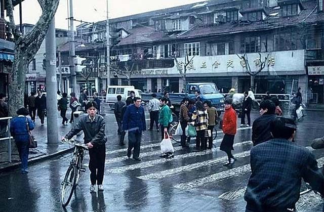 李大双和李小双龙凤胎,李小双和李大双为啥没有孩子