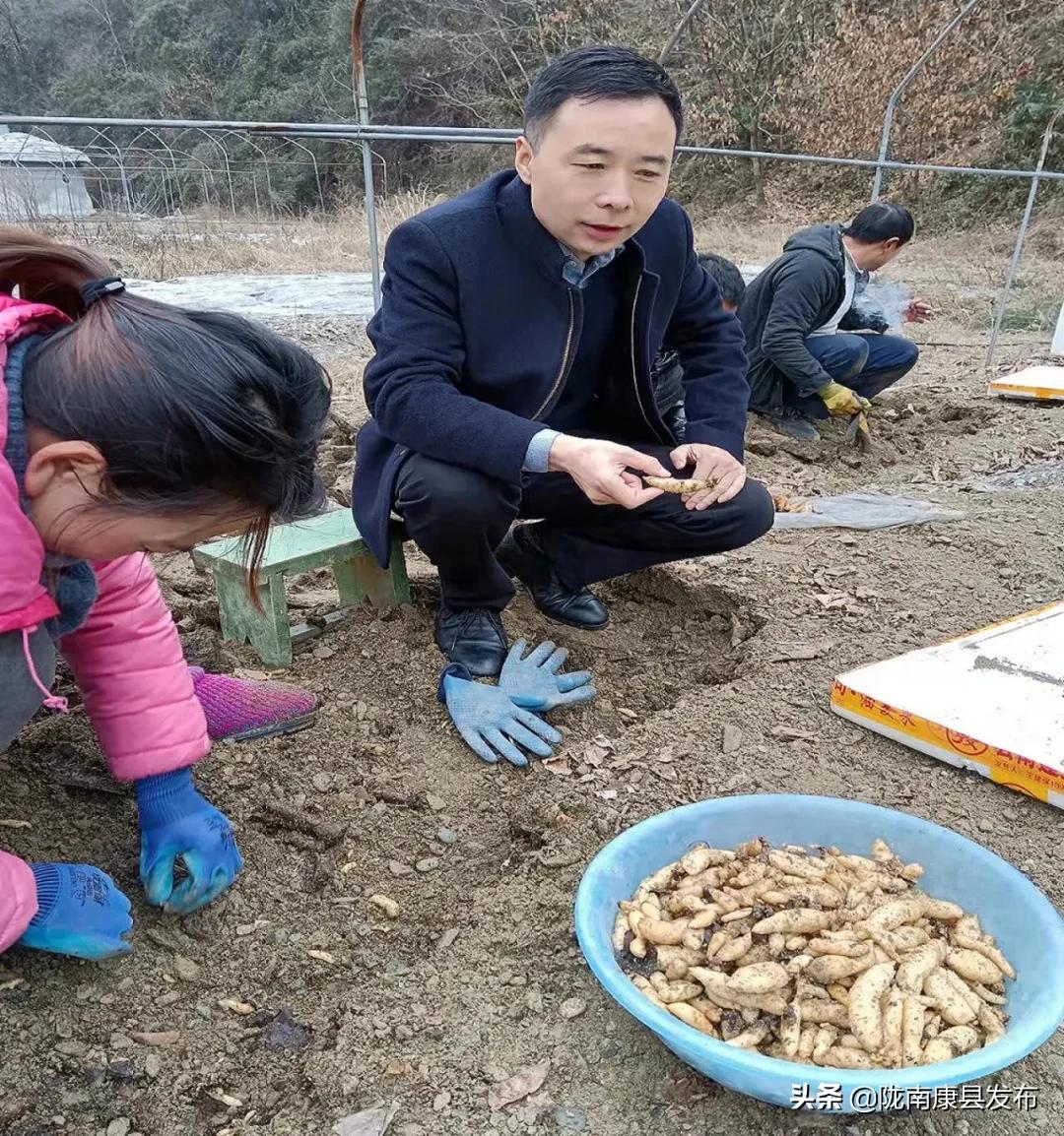 天麻种植产业园,发展天麻种植产业