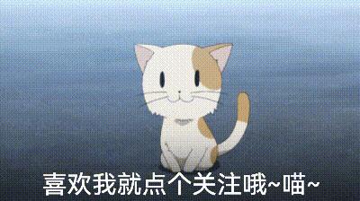 狗狗常见的4种“交配”方式，网友直呼：绝了