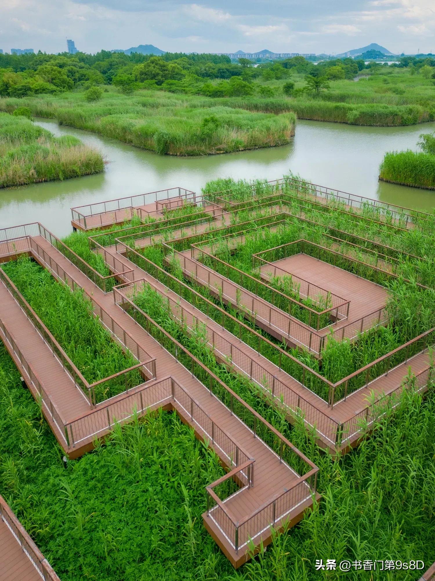 美丽的田野原唱,美丽的田野第32集