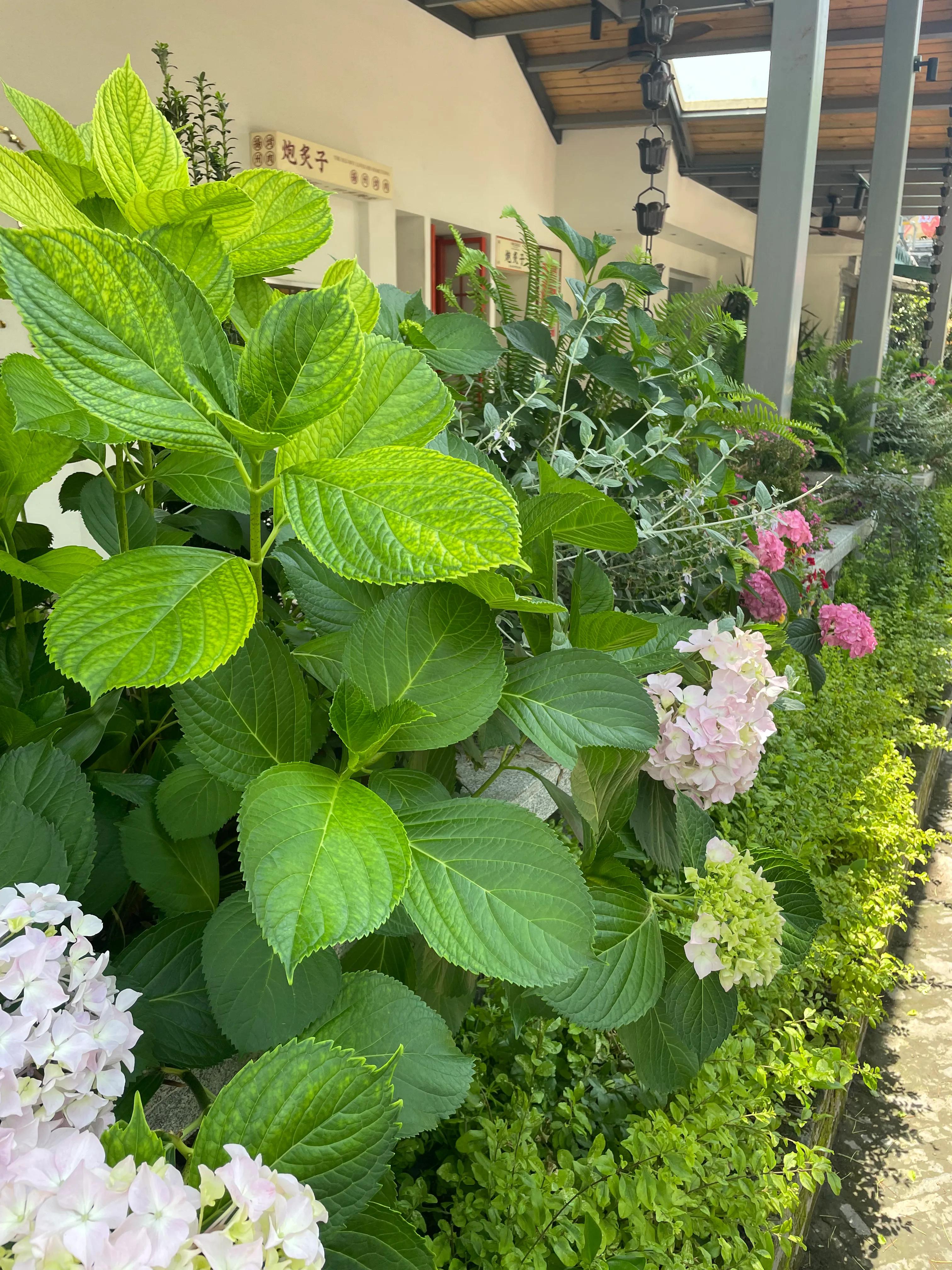 扬州古港旅游攻略大全,扬州东关古街自驾游