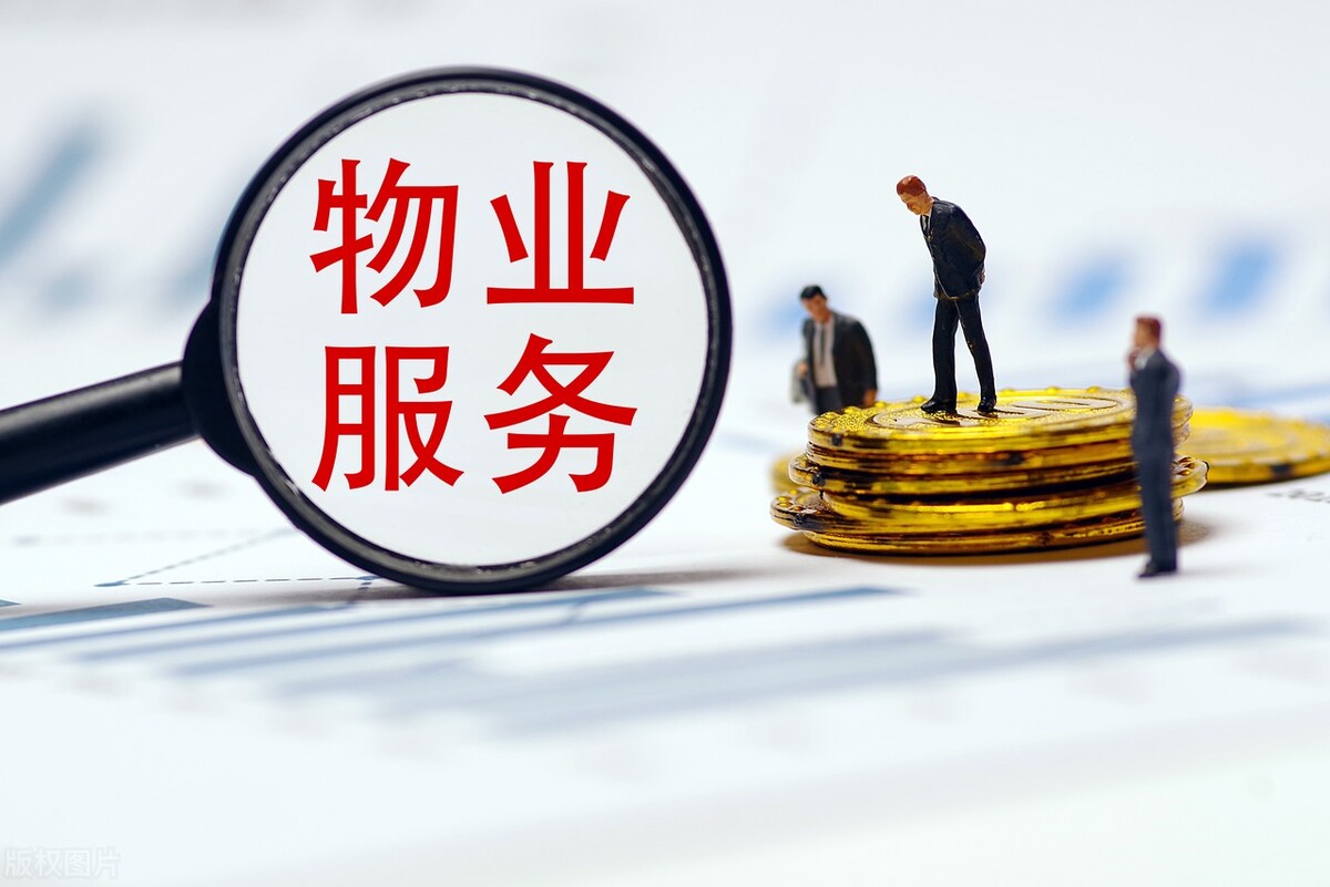 竣工验收备案后再交物业费,开发商在没有竣工备案下收物业费