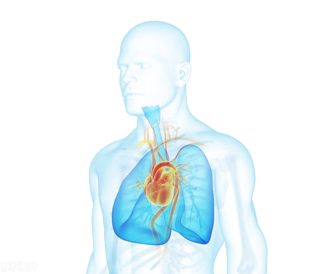 肺癌化疗和免疫治疗无效怎么办,肺癌不能手术只靠化疗属于晚期吗