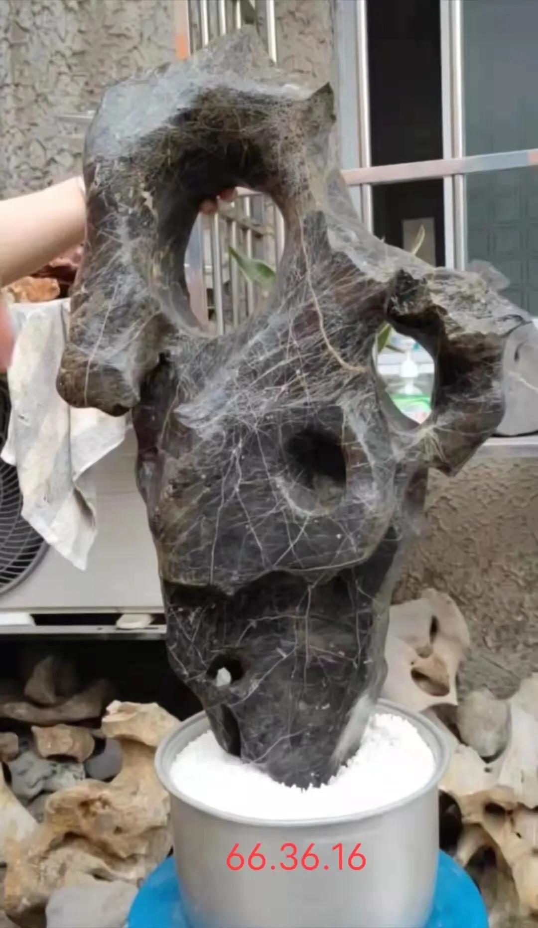 天然太湖石原石小摆件直播,太湖石原石用什么抛光