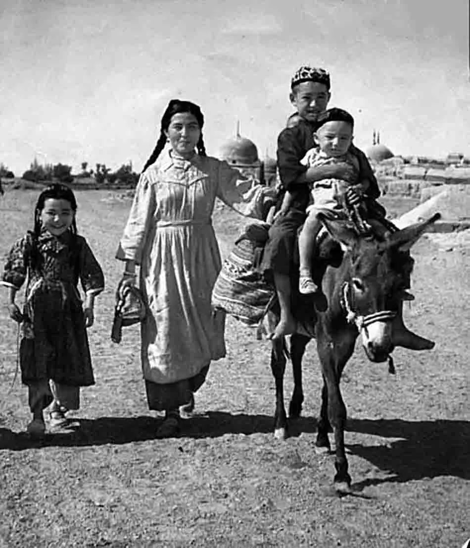 赶巴扎视频大全,赶巴扎时间表