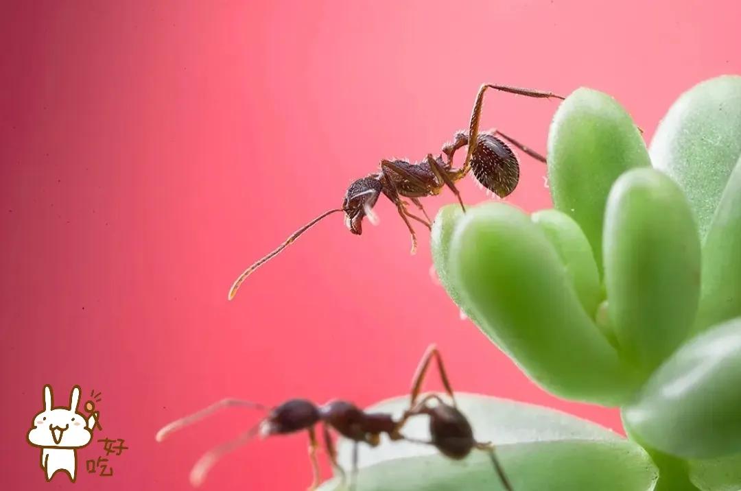 新手发现9：我眼里的头条号百度号企鹅号网易号搜狐号2022