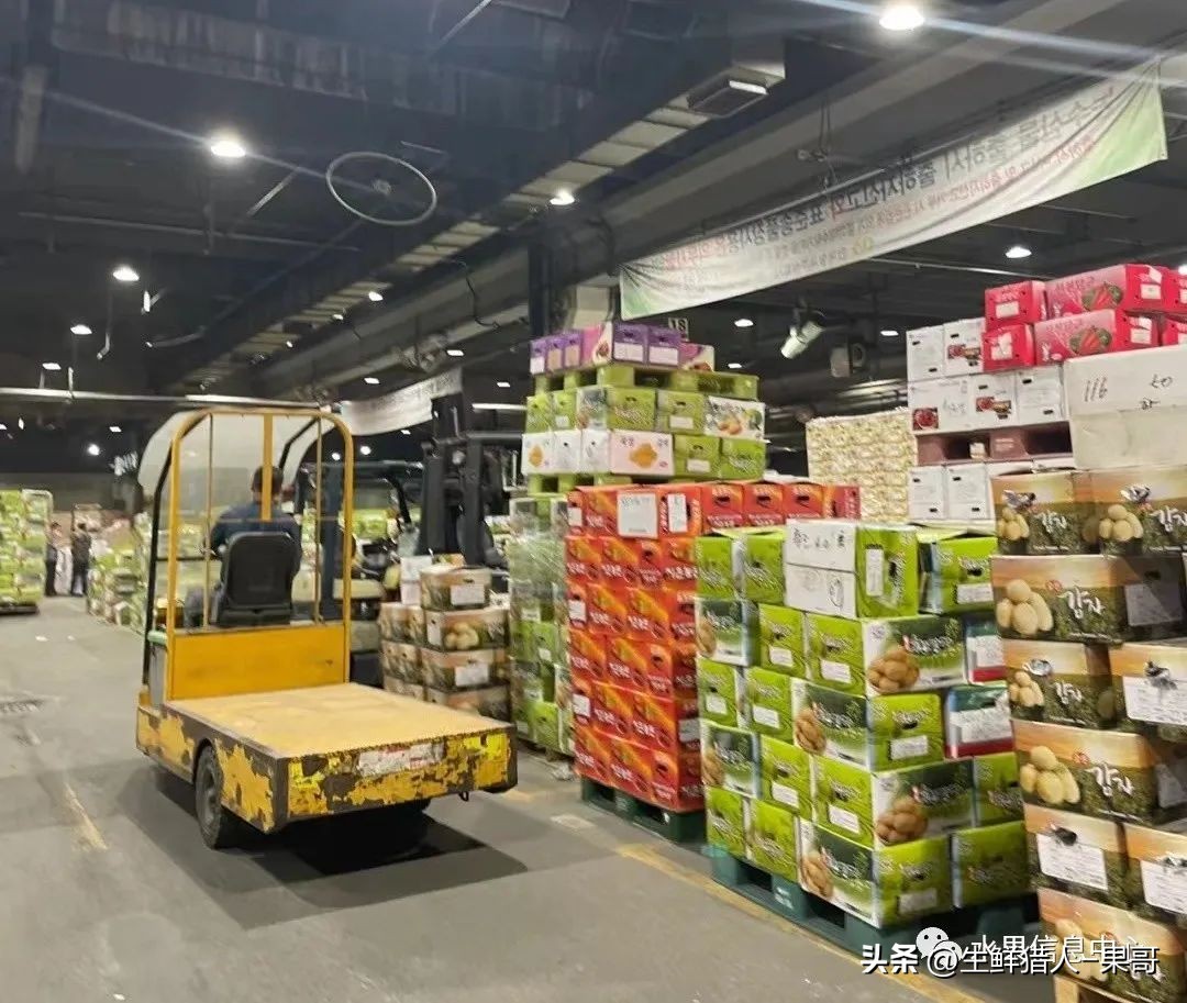 世界第一果蔬批发市场,中国十大果蔬批发市场