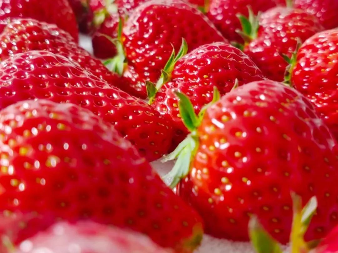 丹东鸭绿江最美景点,丹东被誉为最美边境