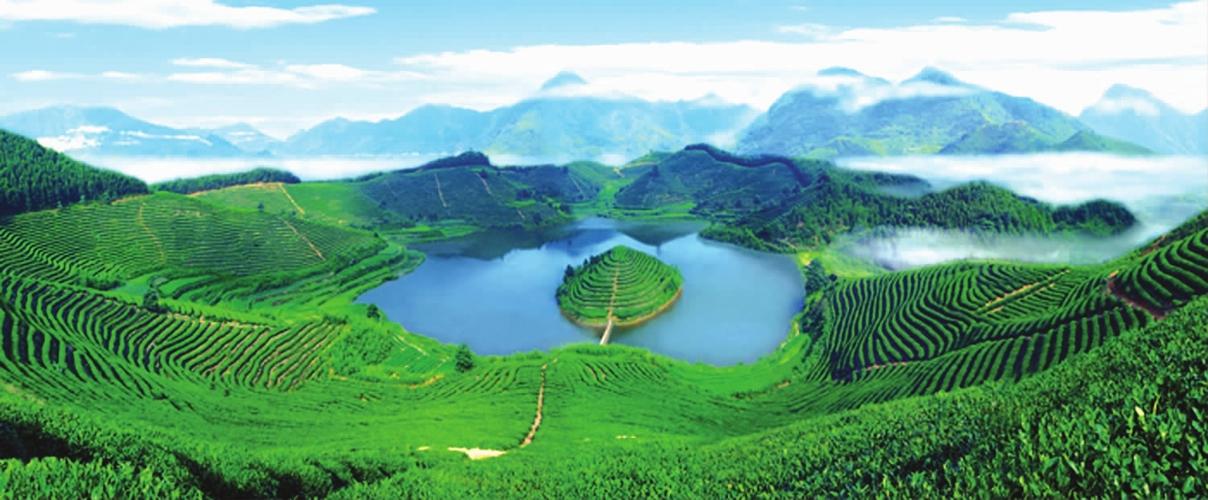 生态环境修复责任在实践中的问题,生态修复是美丽中国的重要途径