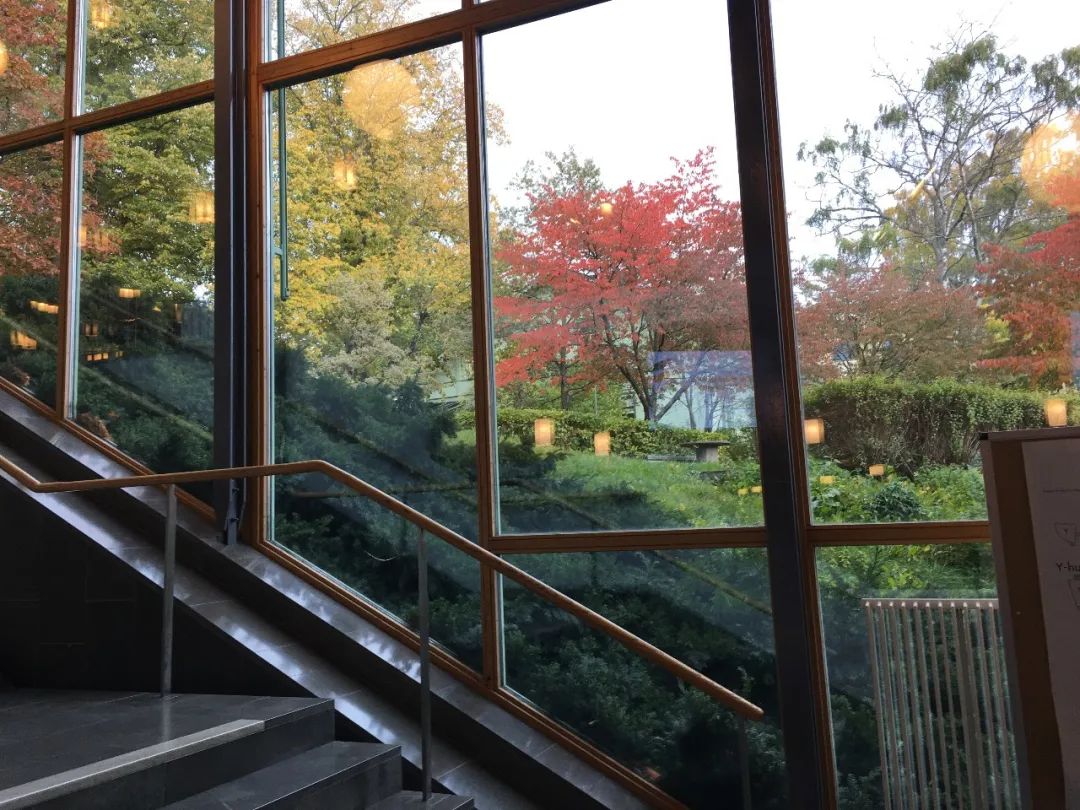 生活在瑞典的真实感受,在瑞典生活的日常