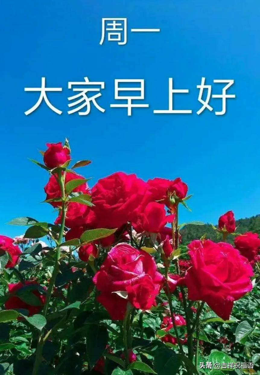 周一早上好图片带文字表情包,2020年9月21日早上好问候表情包