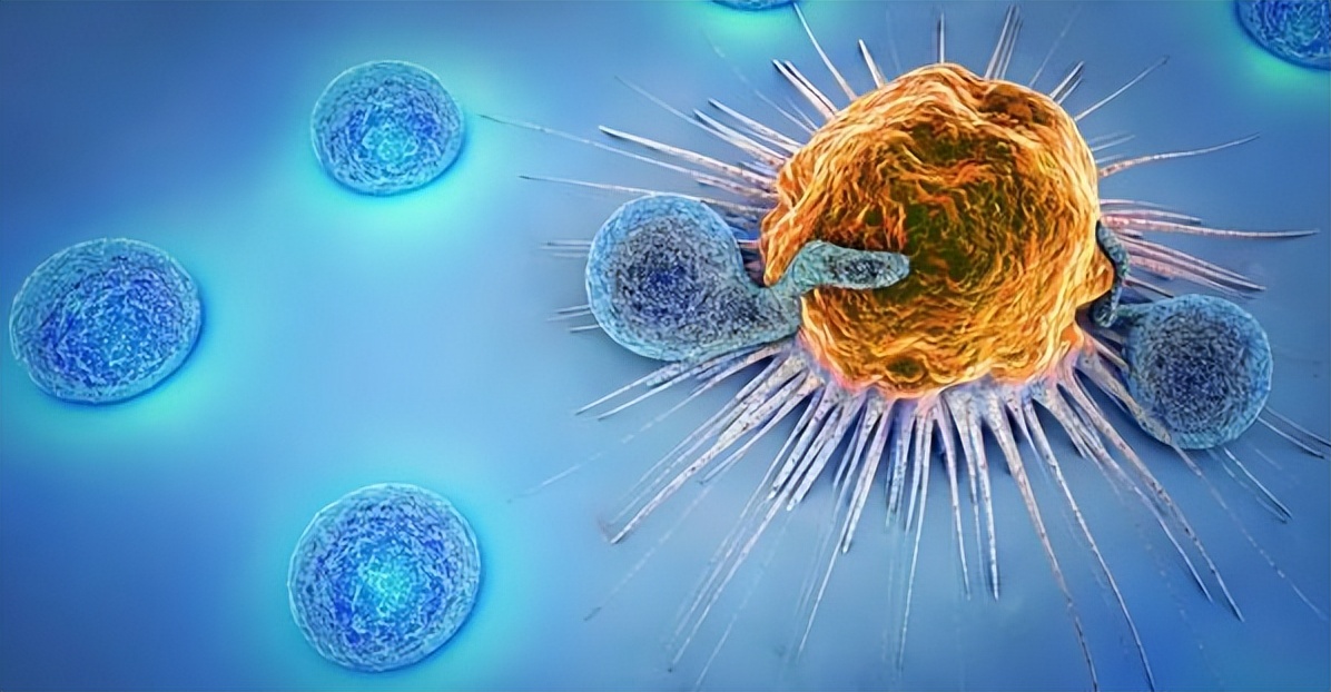 小孩反复感冒抵抗力差怎么办,孩子经常感冒抵抗力差怎么补