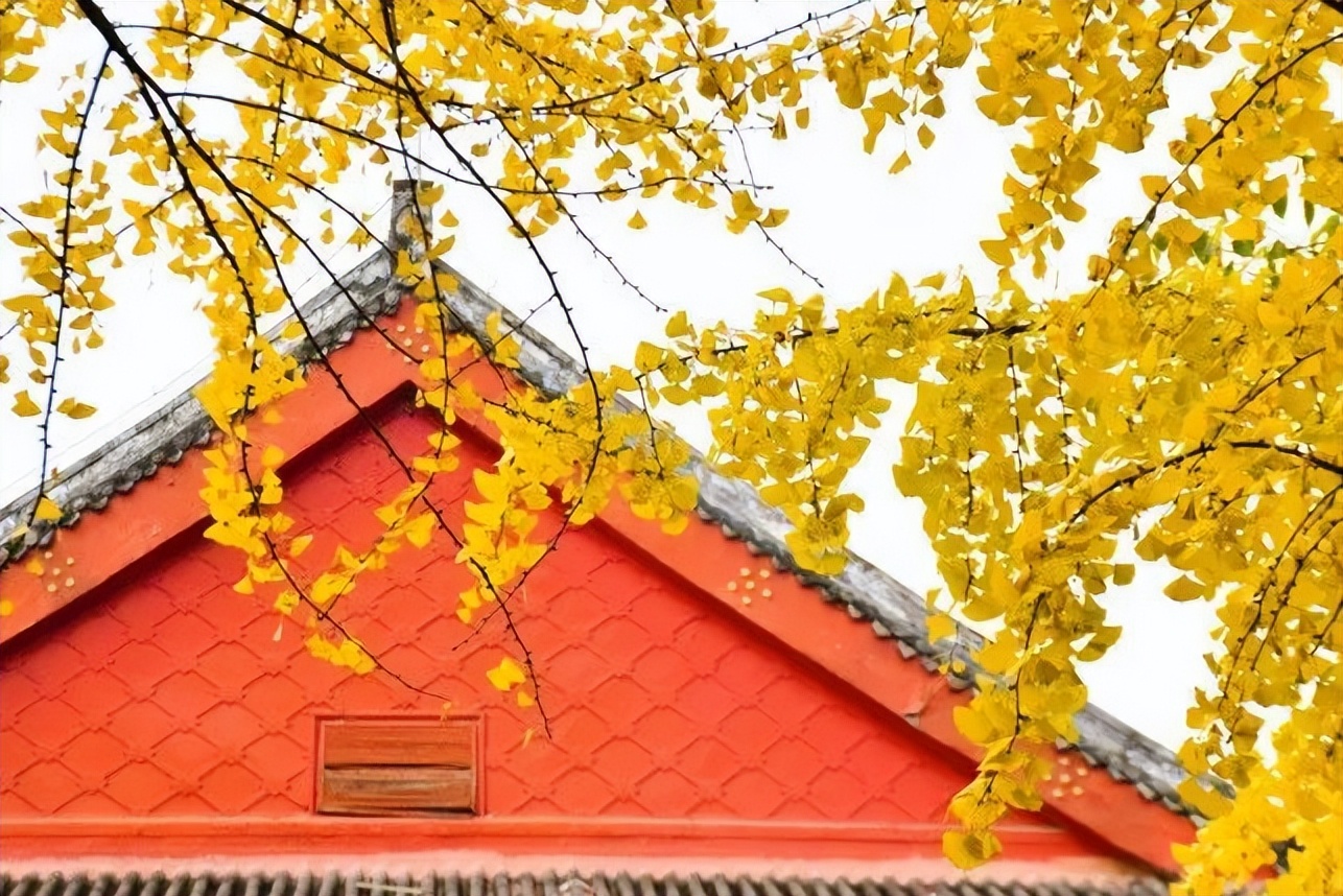 四川硬核高校,星空浩瀚无比探索无止境特别节目