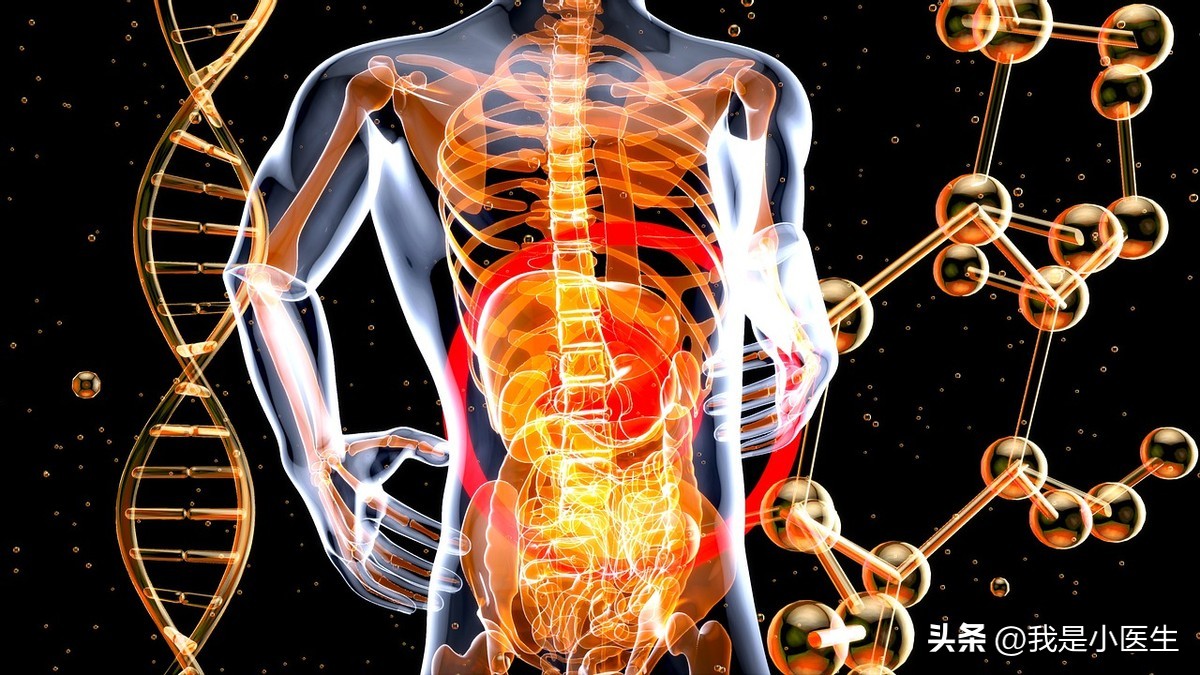 便秘的人食物消化过程,便秘三天了吃什么快速排便