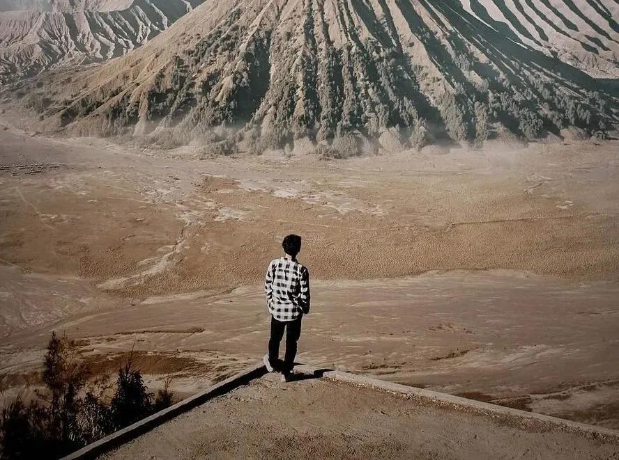 这个猫头鹰的故事，说透了强者的生存法则