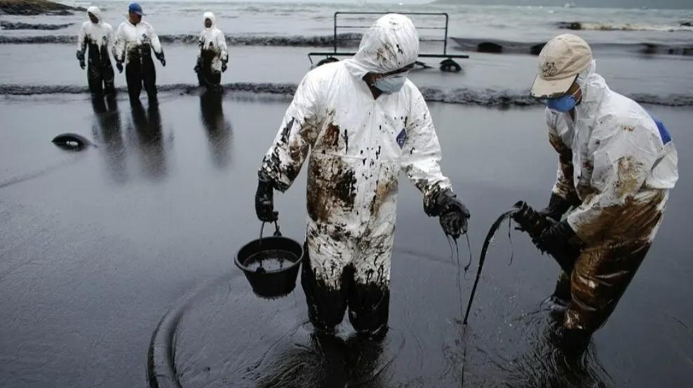中国最适合钓鱼的岛,鱼岛可以钓鱼吗