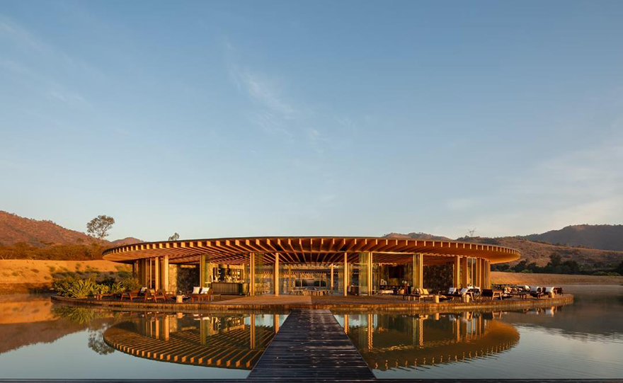 typology涓枃,typology