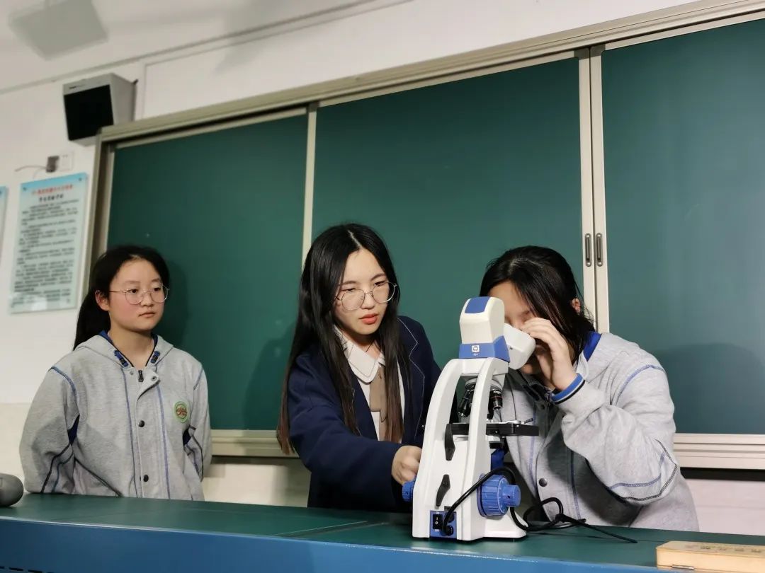 南京有几所好的高中排名,南京口碑最好的大学