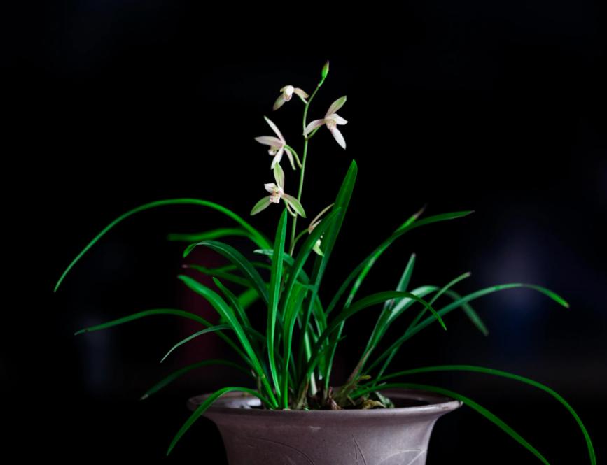 三人行|​一醉管他寒与暑醉里扁舟烟水处（原创诗词唱和15首）