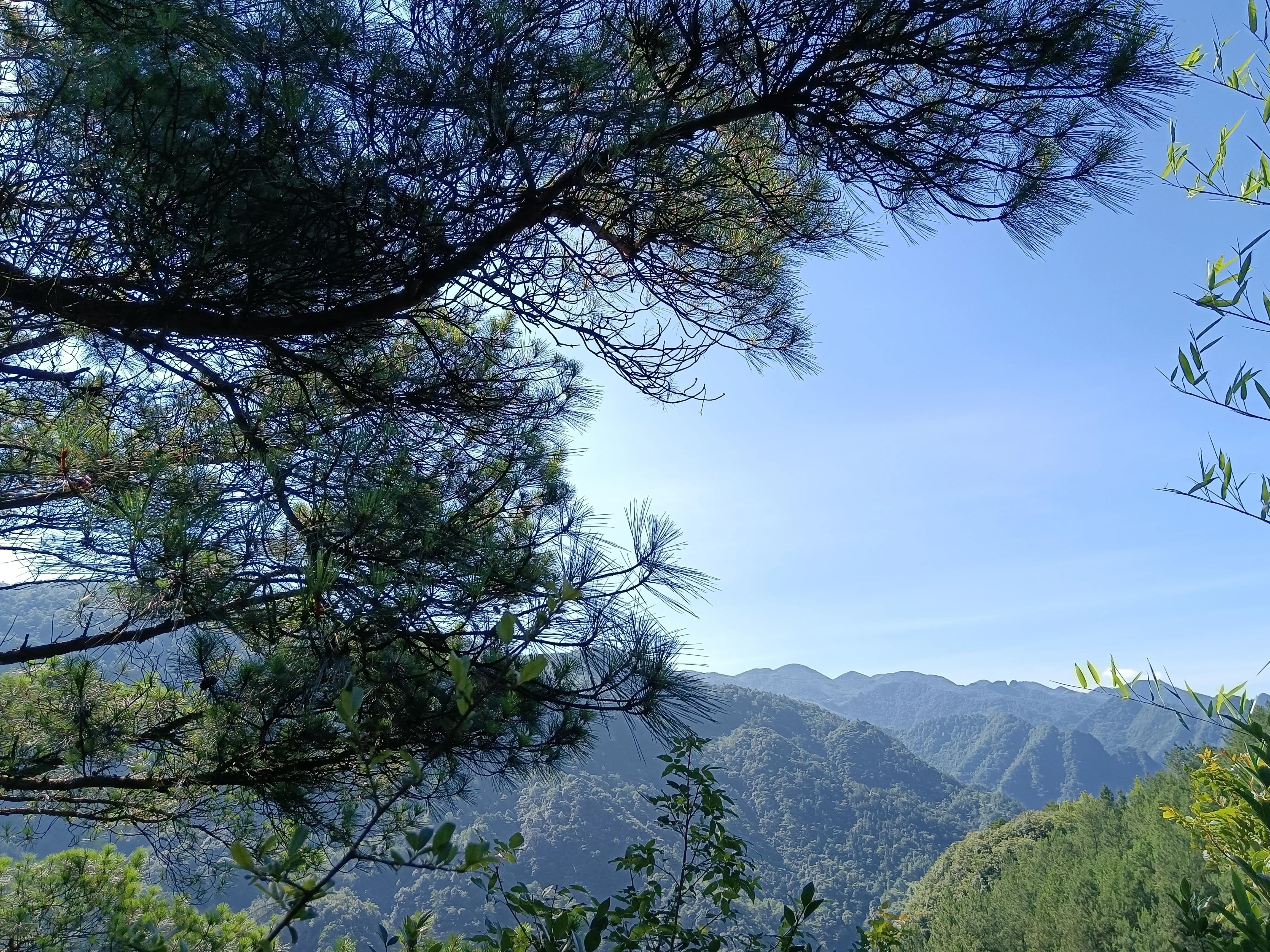 重庆避暑7天黑山谷,远离城市的喧嚣避暑胜地