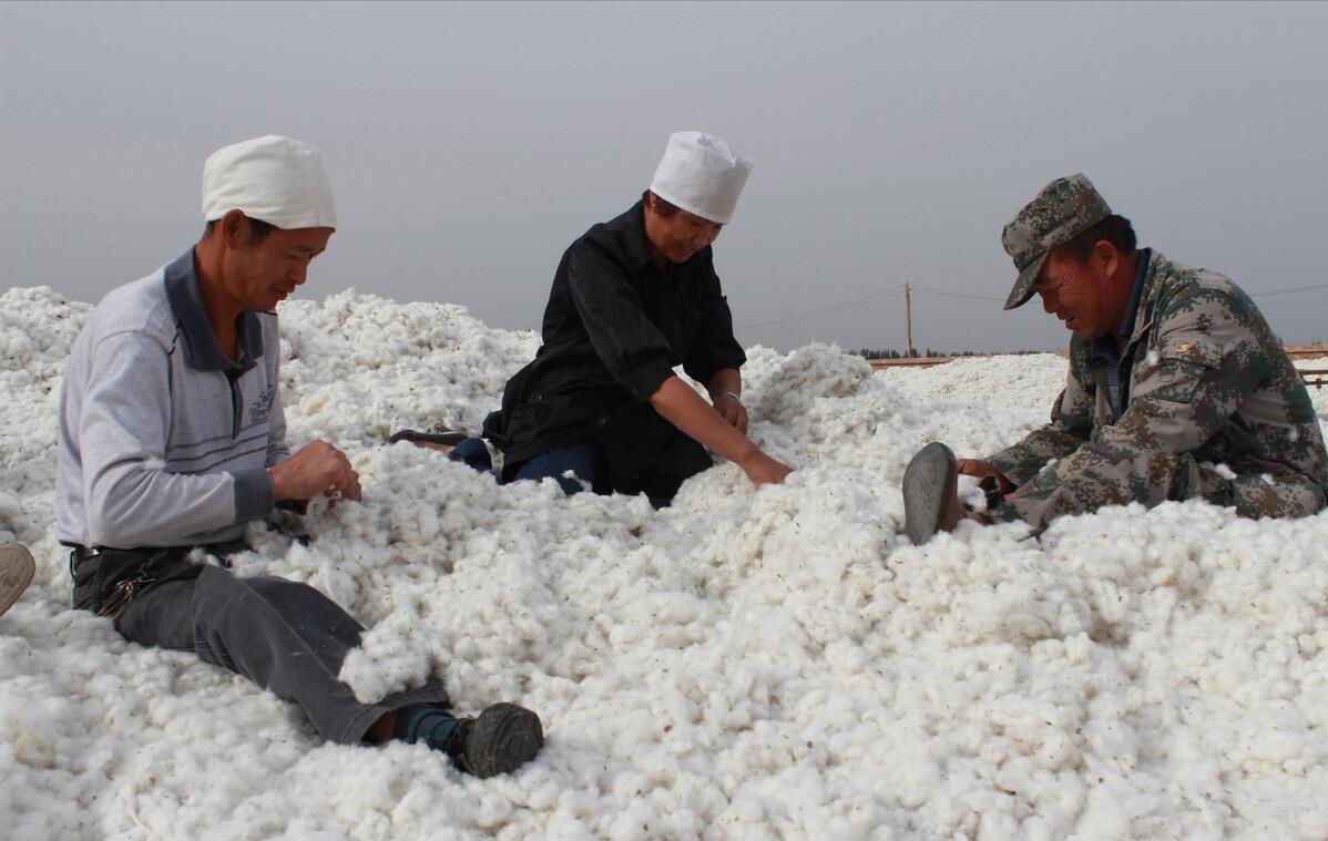 美国棉花价格每公斤多少人民币,美国棉花一包多少公斤